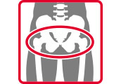 togu_icon_huefte_tiny_web
