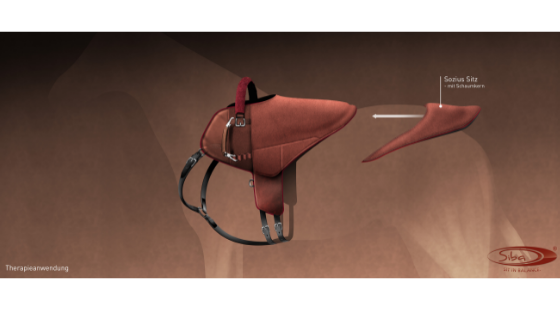 The SIBA hippotherapy saddle with the balance cushion made by TOGU&#8230;