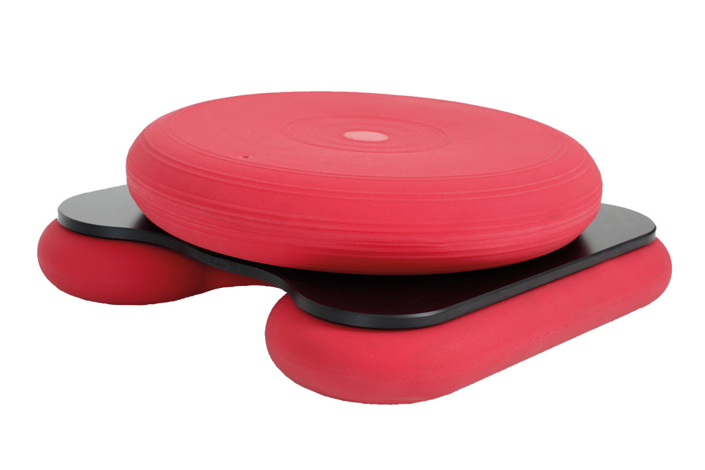 Movement makes you smart - hedgehog