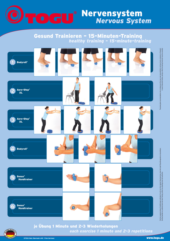 tempnervensystem_gesund-trainieren_chart_webZlWMqxU6lBmuh