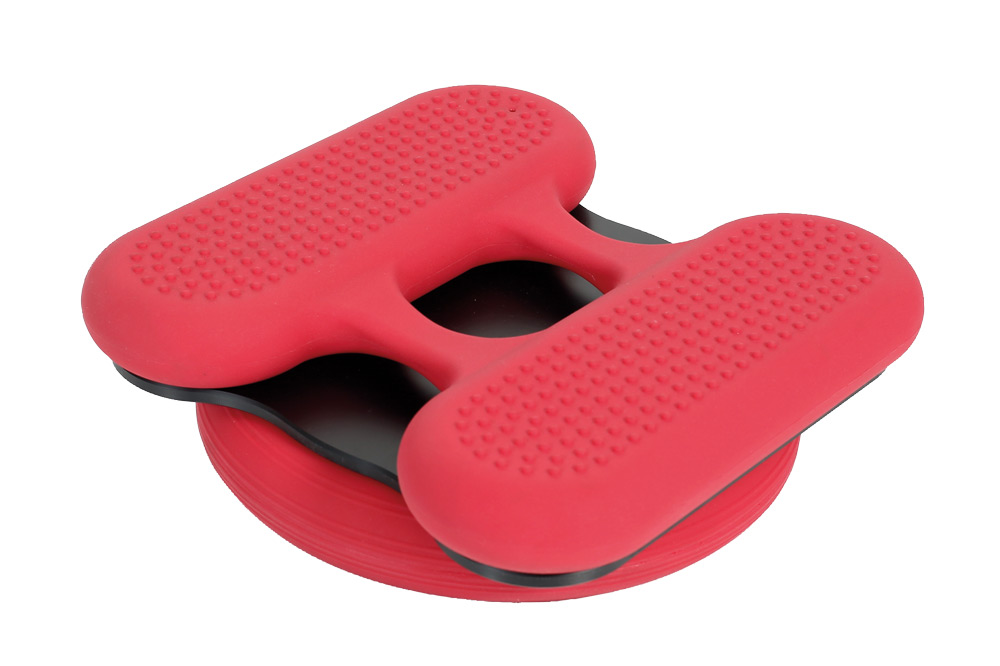 Movement makes you smart - hedgehog