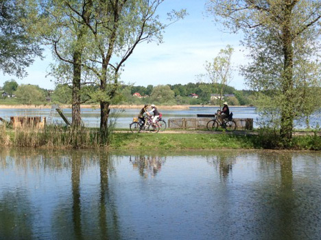 Sport und Zivi-krankheiten