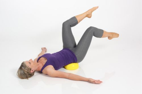 Movement makes you smart - Hedgehog