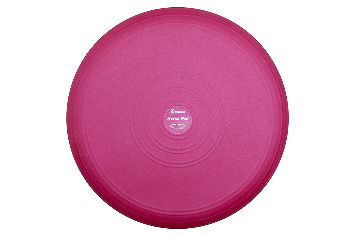 Physiotherapeutic Work with TOGU Products in Animal Therapy