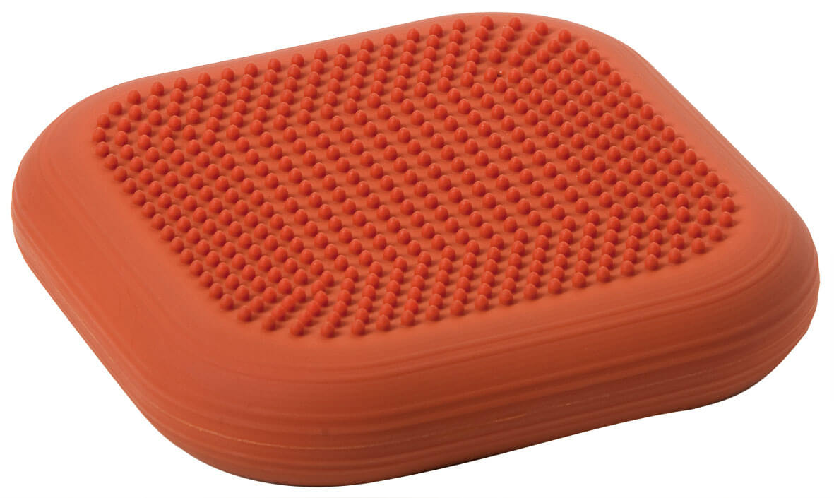 dynair-cardo-ballkissen-terra-senso_seite_tiny_webYco5RCVcJsh7B Dynair® Ballkissen Cardo (Animal)