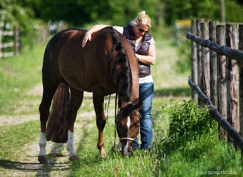 Beschreibung des Bildes
