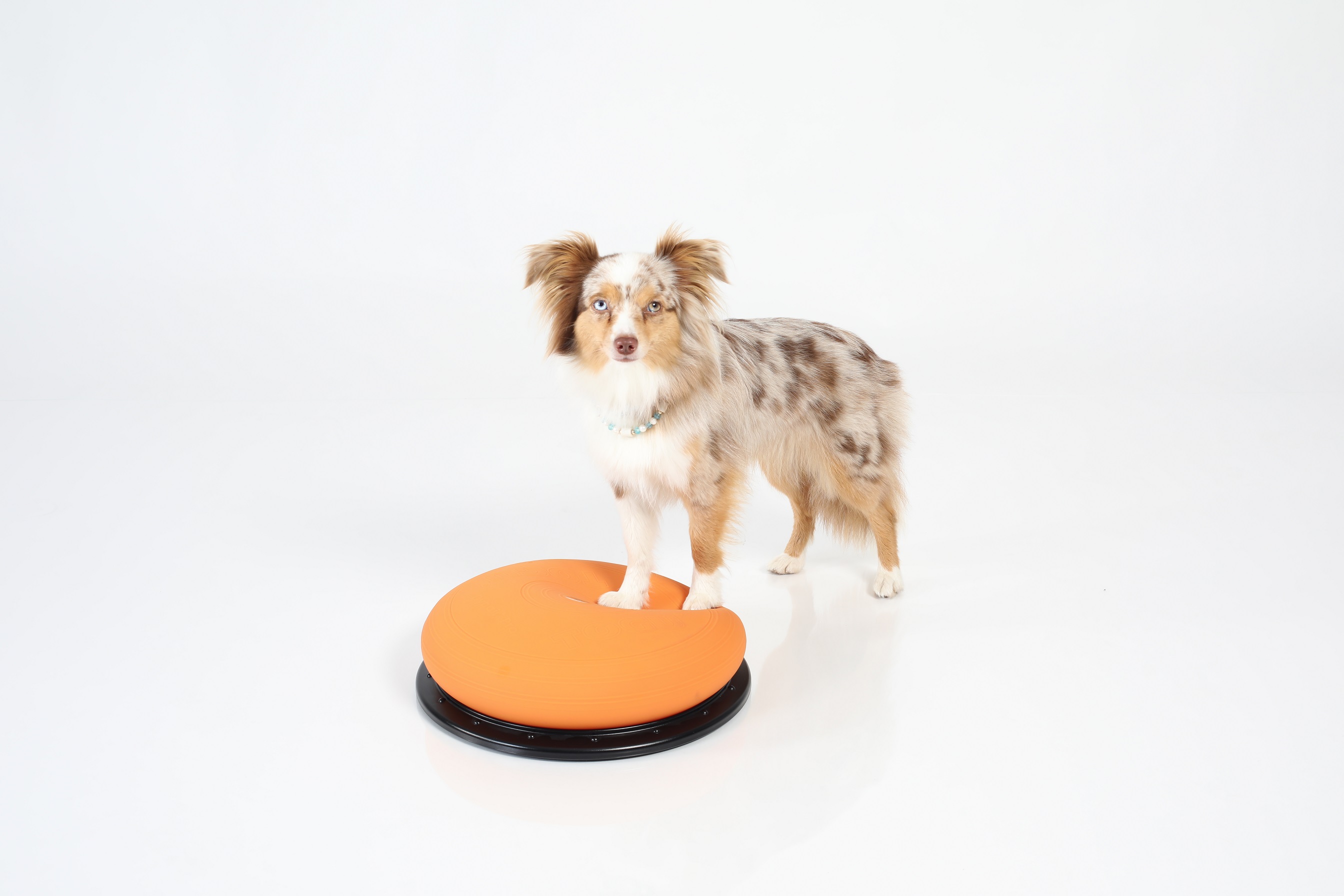 Dynair® Pro orange (Animal)