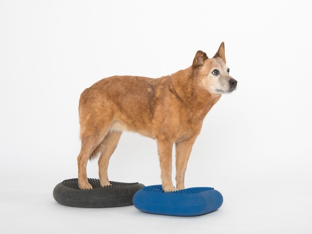 Dynair® Ballkissen® Senso® 33 cm (Animal)